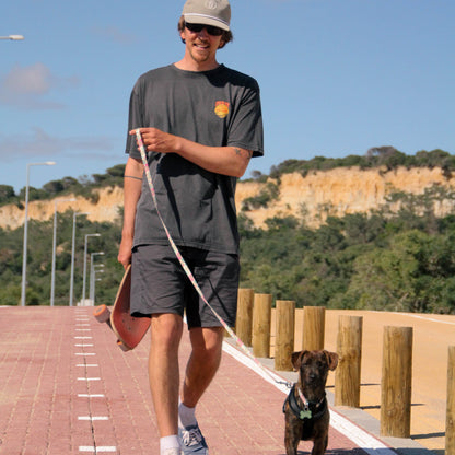 Man walking a dog on a leash with a skateboard under his arm, set against a scenic background.